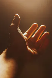 Jackson david 2h JZF52 UR9k unsplash